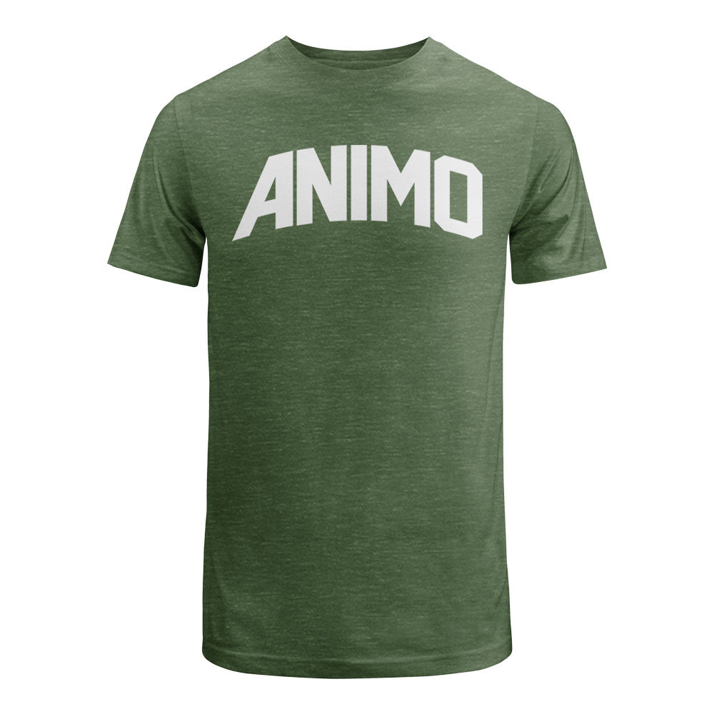 lasalle-university-bookstore-la salle-dlsu-gear-clothing-de la salle-greenarcher-archers-animo-animolasalle-ls--lsgh-green archer-store-delasalle-taft-2401-uaap-philippines-ph-green