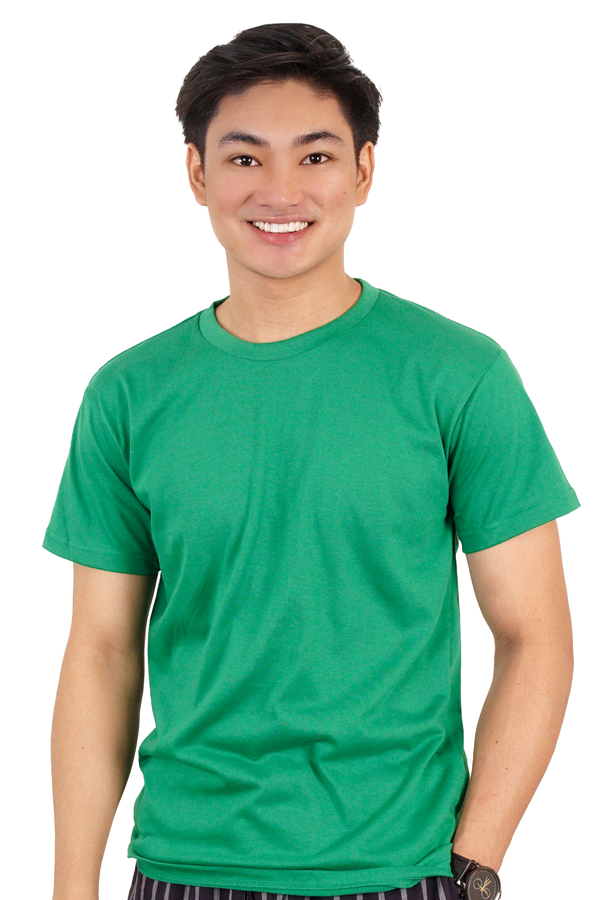 shirt-tees-tee-tshirt-plain-regular fit-normal fit-no design-green